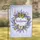 duiyfppz/products/6a006531d411c884df574040/gallery/O8nipOsy2X
