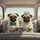 Pugs Bow Tie Crown Car Interior - Road Trip Travel Gift Spare Tire Cover - 6