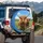 Highland Cow Wildflower Meadow Landscape - Farmhouse Home Decor Gift Spare Tire Cover - 3