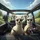 Alpacas Selfie Road Trip - Travel Essentials Gift for Alpaca Lover Spare Tire Cover - 6