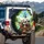 Panda Group Road Trip Animals Scenic Landscape - Wildlife Lover Gift Spare Tire Cover - 3