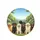 Smiling Golden Labrador Rottweiler Dogs Natural Landscape Forest - Dog Lover Gift Spare Tire Cover - 4