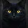 Black Cat Luminous Golden Eyes Deep Charcoal Fur - Wildlife Lover Everyday Gift Spare Tire Cover - 6