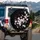 Pink Cherry Blossom Branches Car Accessory Gift for Cherry Blossom Lover Spare Tire Cover - 3
