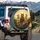 Tabby Cat Aviator Sunglasses Road Trip - Adventure Travel Lover Gift Spare Tire Cover - 3