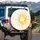 Organic Textured Golden Sun Delicate Blossoms Vertical Stripe Vehicle Decor Gift Spare Tire Cover - 3