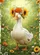 duiyfppz/products/6a006c64d411c88854575a54/gallery/ExsIO4QyW6