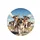 Five Beagles Black Sunglasses Blue Sky Road Trip - Dog Lover Travel Gift Spare Tire Cover - 4