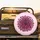 Hot Pink Black Leopard Spots High Fashion Accent Spare Tire Cover - 2