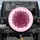Hot Pink Black Leopard Spots High Fashion Accent Spare Tire Cover - 1