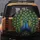 Realistic Peacocks Heart Silhouette Iridescent Eyes - Wildlife Lover Gift Spare Tire Cover - 5