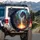 Fiery Purple Dragon Forest Houses - Fantasy Lover Adventure Gift Spare Tire Cover - 3