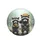 Raccoons Yellow Beanie Orange Flower Bubbles Natural Landscape Wildlife Gift Spare Tire Cover - 4