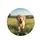 Fluffy Golden Retriever Puppy Running Sunlit Green Grass Landscape - Pet Lover Gift Spare Tire Cover - 4