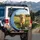 Fluffy Golden Retriever Puppy Running Sunlit Green Grass Landscape - Pet Lover Gift Spare Tire Cover - 3