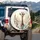 Majestic Young Giraffe Cream Spots Light Blue Water - Giraffe Lover Wildlife Gift Spare Tire Cover - 3