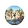Five Alpacas Sunglasses Car Interior - Road Trip Companion Gift for Animal Lovers Spare Tire Cover - 4