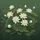 White Lotus Flowers Green Lily Pads - Zen Garden Decor Gift for Yoga Lover Spare Tire Cover - 6