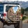 Schnauzer Dogs European Street Scene - Dog Lover Road Trip Gift Spare Tire Cover - 3