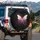 Gradient Butterfly Arcing Lines Glow Background - Wildlife Home Decor Gift Spare Tire Cover - 3