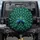 Two Majestic Peacocks Fanned Tail Feathers Distinct Eye-Spots - Wildlife Lover Gift Spare Tire Cover - 1