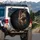 Majestic German Shepherd Dog Portrait - Intense Amber Eyes, Noble Stance - Dog Lover Gift Spare Tire Cover - 3