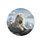 Majestic White Lion Flowing Mane Rugged Rocks Snowy Mountains Dramatic Clouds - Wildlife Lover Gift Spare Tire Cover - 4