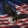 Majestic Soaring Bald Eagle Flowing American Flag - Independence Day Patriotic Gift Spare Tire Cover - 6