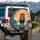 Majestic Lion Ocean Waves Sunset - Outdoor Adventure Wildlife Lover Gift Spare Tire Cover - 3