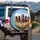 Galloping Wild Horses Grassland Landscape - Outdoor Adventure Decor Spare Tire Cover - 3