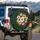 White Golden Gerbera Daisies Chrysanthemum Blossoms - Outdoor Decor Flower Lover Gift Spare Tire Cover - 3