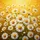 White Daisies Bright Sunny Yellow Field Layered Floral Garden Bloom - Everyday Outdoor Decor Gift Spare Tire Cover - 6