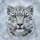 Majestic Snow Leopard Face Ice Blue Eyes - Wildlife Lover Gift Spare Tire Cover - 6