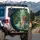 Majestic Tiger and Cub Wading Water Tropical Jungle Wildlife Lover Gift Spare Tire Cover - 3