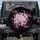 Night Bloom Sakura Floral Dark Leaves Luminous Gold Sparkle - Road Trip Accessory Spare Tire Cover - 1