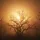 Radiant Sun Gnarled Bare Tree Branches - Amber Golden Hazy Forest Nature Lover Gift Spare Tire Cover - 6