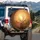 Radiant Sun Gnarled Bare Tree Branches - Amber Golden Hazy Forest Nature Lover Gift Spare Tire Cover - 3
