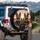 German Shepherds Sunset Road Trip - Dog Lover Gift for Pet Parents Spare Tire Cover - 3