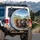 Lively Dachshunds Open Road Landscape - Adventure Dog Lover Gift Spare Tire Cover - 3