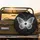 White Butterfly Constellation Stars - Cosmic Decor Gift for Stargazer Spare Tire Cover - 2