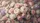 duiyfppz/products/6a00ad954d59b374466cef0d/gallery/EOL4LrhLRv