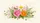 duiyfppz/products/6a00b465f351809e4f60b539/gallery/yIour4DWHF