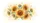 duiyfppz/products/6a00b51eb506cf9532e05ceb/gallery/V-oHAR8ssK