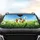 duiyfppz/products/6a00b99ff351808a6060bf19/gallery/YVmyiiIUm-