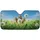 duiyfppz/products/6a00b99ff351808a6060bf19/gallery/s4L-zoevnL
