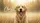 duiyfppz/products/6a00c0644d59b31d466d21a7/gallery/hNeScasZ3w