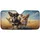 duiyfppz/products/6a00c63d14c61f8611ed7407/gallery/0Grn8x3lPK