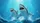 duiyfppz/products/6a00c74866b94153b5a3f1fc/gallery/38B0-Adcq9