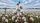 duiyfppz/products/6a00caac8b9bdf76bdd39282/gallery/3hRbOeWqOT