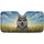 duiyfppz/products/6a00cb6c14c61f749ded7e77/gallery/gm5gApL8Kd